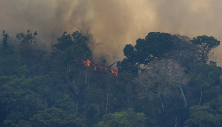 الحرائق تهدد الغابات