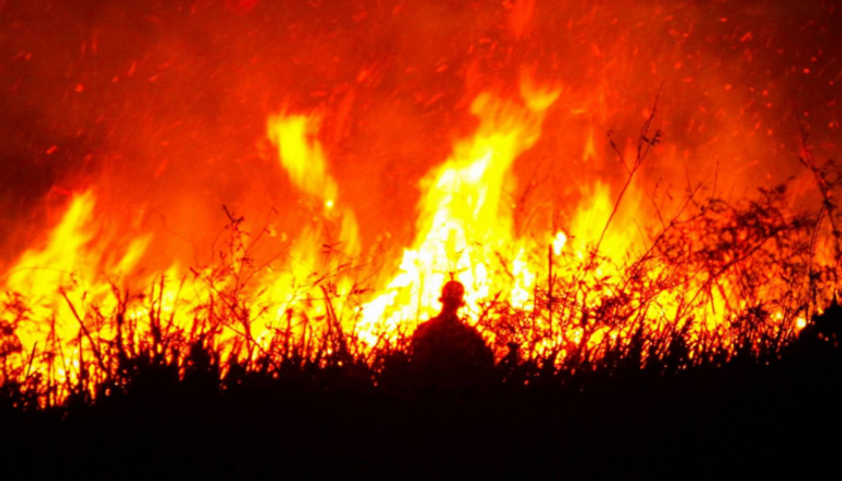 اشتعال 100 حريق بغابات أستراليا - صورة أرشيفية