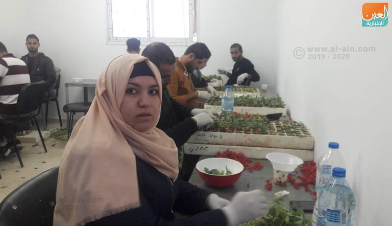 مختبر لتركيب النباتات في غزة