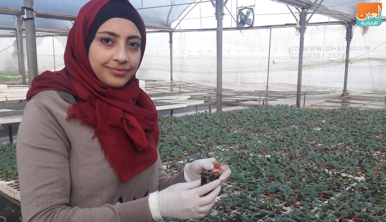 مختبر لتركيب النباتات في غزة