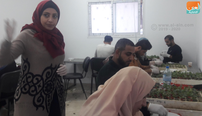 مختبر لتركيب النباتات في غزة