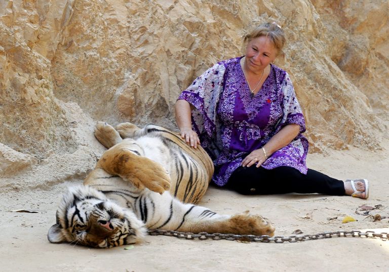 سائحة تلتقط صورة مع فيل