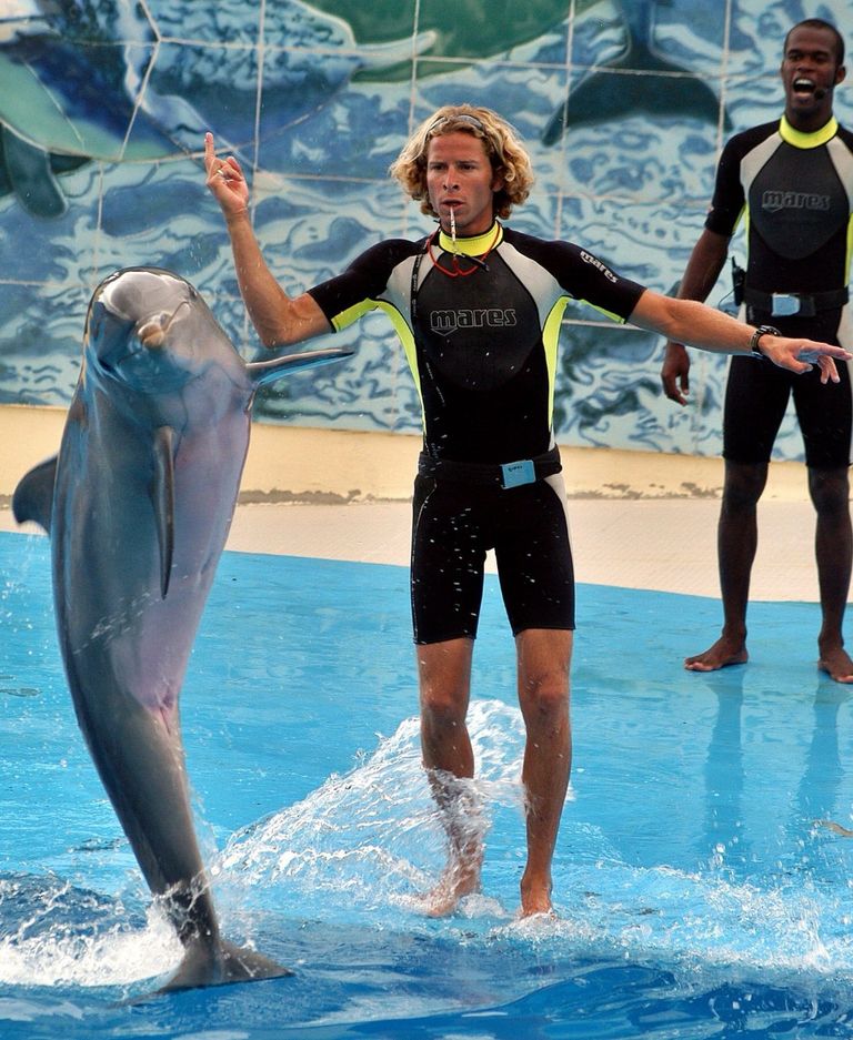 سائحة تلتقط صورة مع فيل