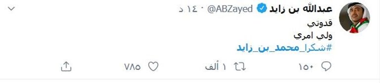 تظاهرة حب للشيخ محمد بن زايد على