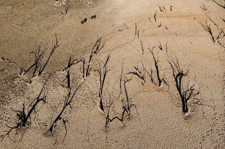 جنوب أفريقيا تعاني من شح الأمطار ودرجات الحرارة المرتفعة