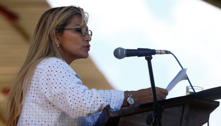 الرئيسة الانتقالية لبوليفيا جنين أنييس - رويترز