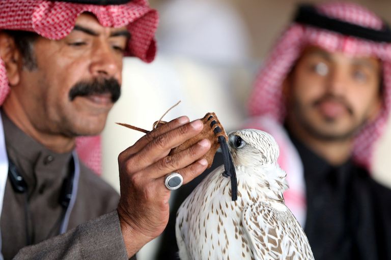 مهرجان الملك عبدالعزيز للصقور.. الأكبر من نوعه على مستوى العالم