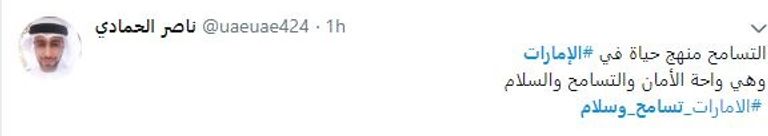 الإمارات أطلقت 2019 عاما للتسامح وحققت نجاحات كبيرة