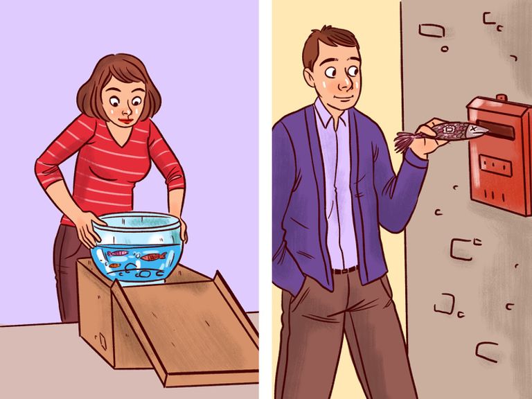 طفلة وحرباء من أغرب الأشياء المرسلة عبر البريد في الماضي