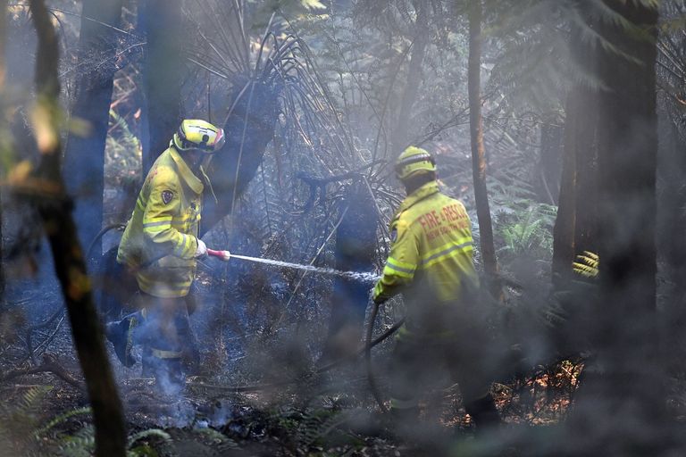 إطفائي يكافح حريقا في إحدى غابات أستراليا