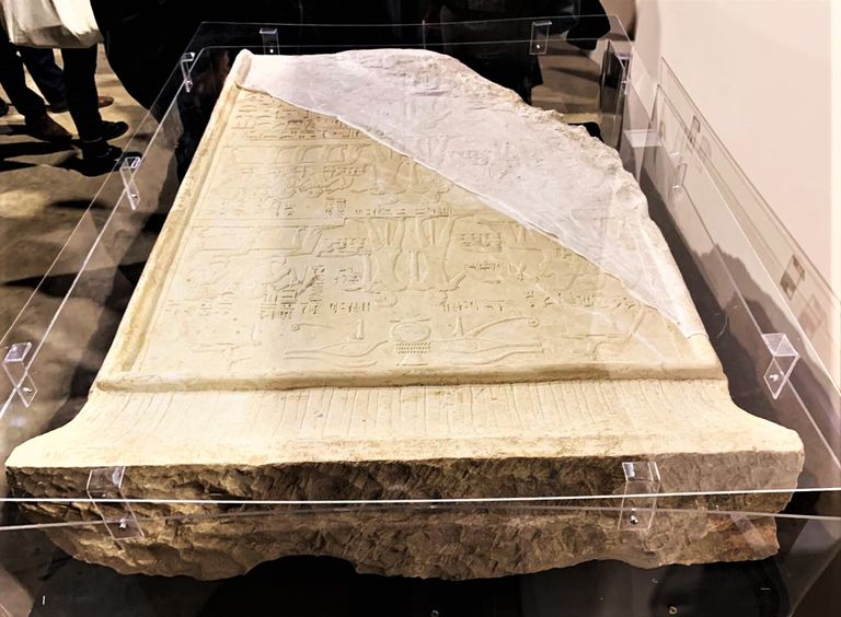 من افتتاح المعرض بالمتحف المصري