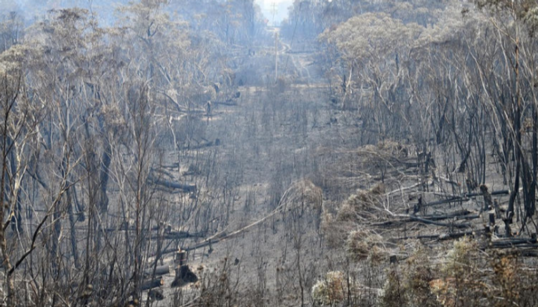 جفاف حاد وحرائق غابات تجتاح أستراليا 