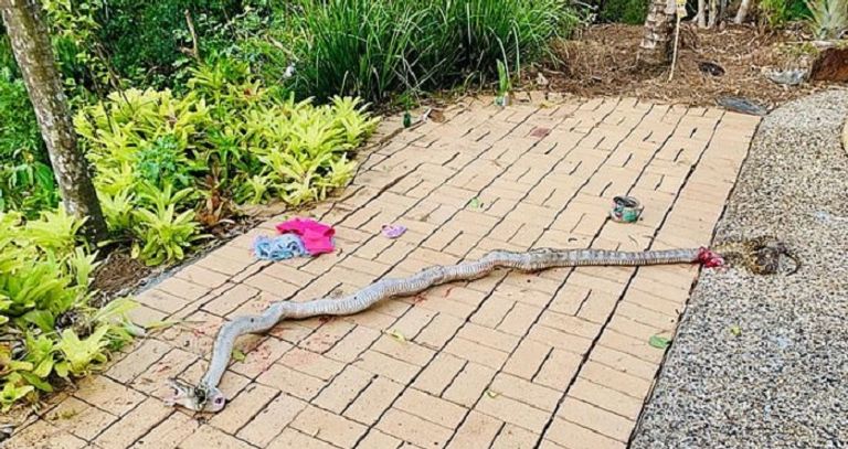 الأسترالي وعائلته