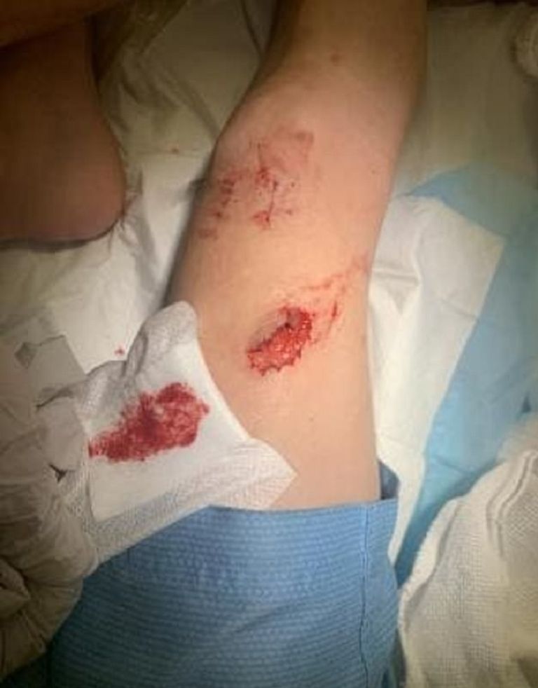 الأسترالي وعائلته