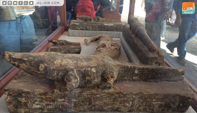 الحكومة المصرية هيأت مناخا آمنا ساهم في زيادة أعمال البعثات