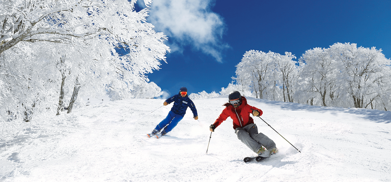 تذوق خبز الثوم من أغرب وظائف 2019