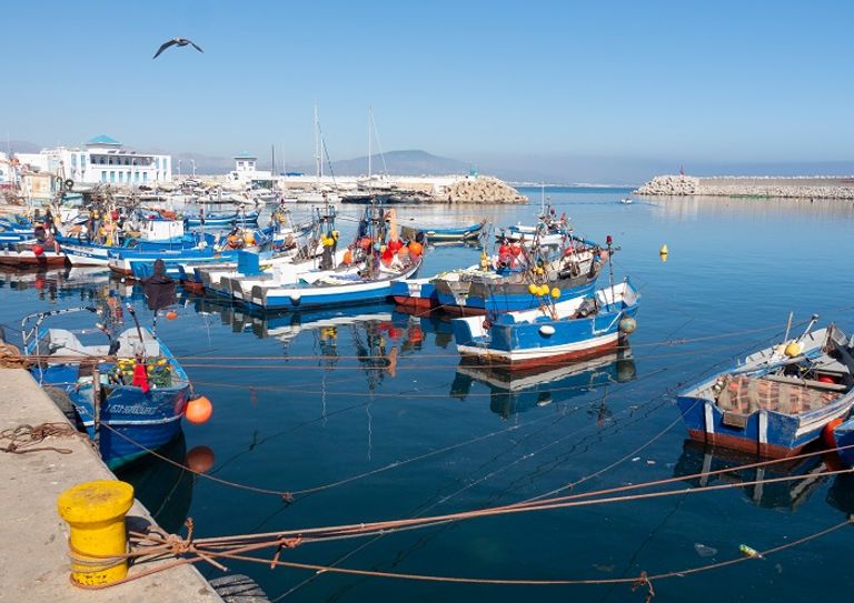 تامودا باي.. المغرب