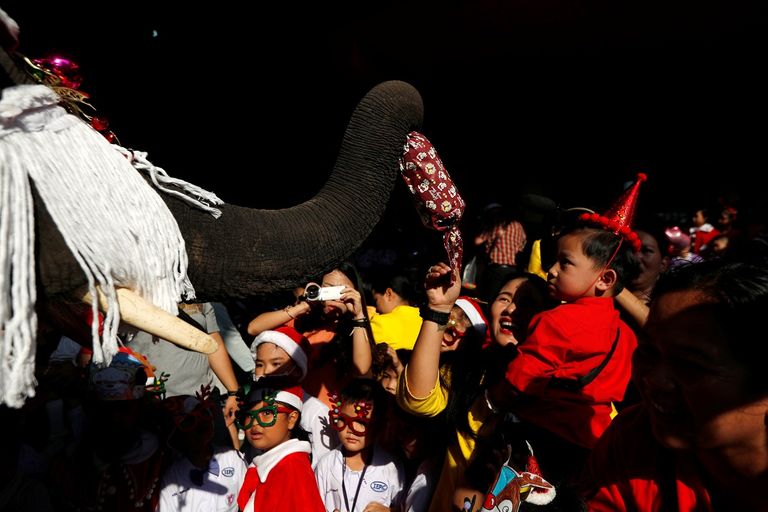 الأفيال ومدربوها يوزعون الهدايا على التلاميذ