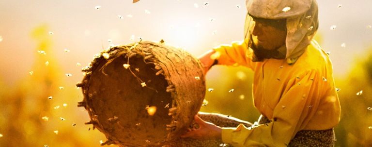 مشاهد من أفضل 10 أفلام وثائقية في 2019