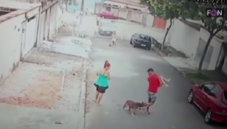 برازيلي ينقذ طفلا من أنياب كلب