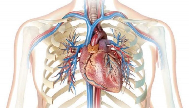 قفاز لعلاج تبعات السكتة الدماغية