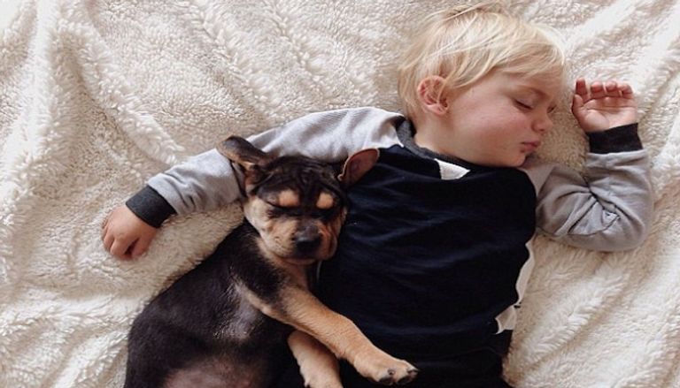 وجود كلب مع الأطفال قبل بلوغهم 13 عاما، يخفض من خطر إصابتهم بالفصام