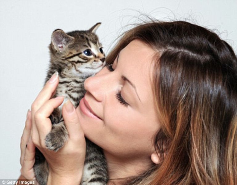 طفيلي التوكسوبلازما الموجود في القطط مرتبط بالفصام