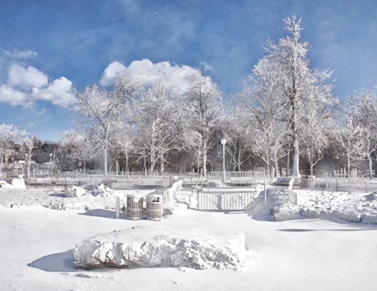 الصقيع يضرب شيكاغو الأمريكية - 