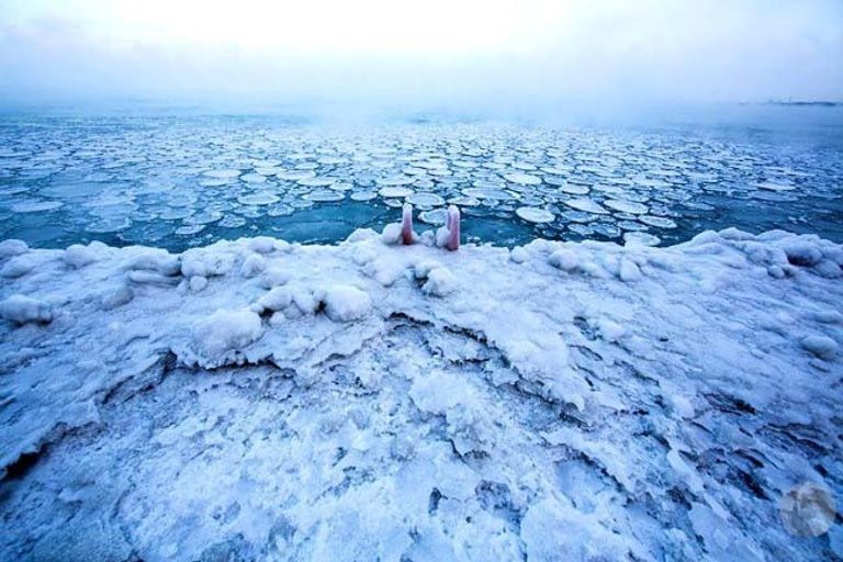 الصقيع يضرب شيكاغو الأمريكية - 