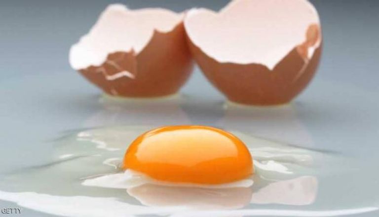 البيض المعدل يفيد في علاج أمراض السرطان والمفاصل