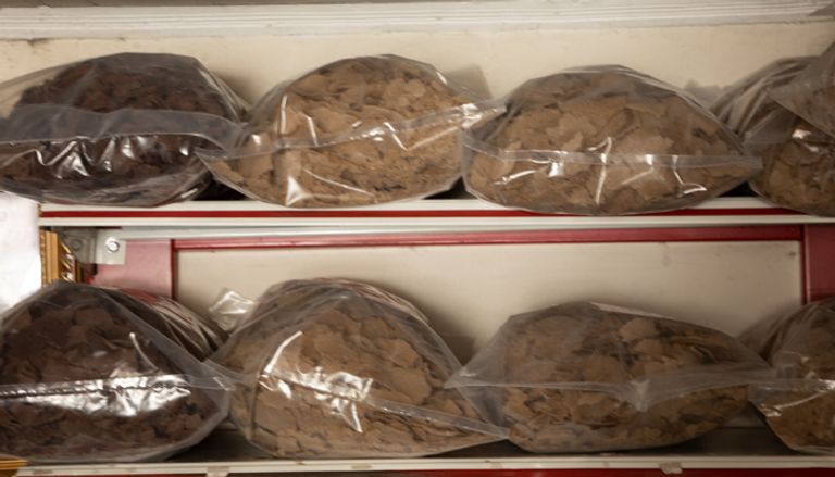 "الإنجيرا".. طعام الأغنياء والفقراء في إثيوبيا