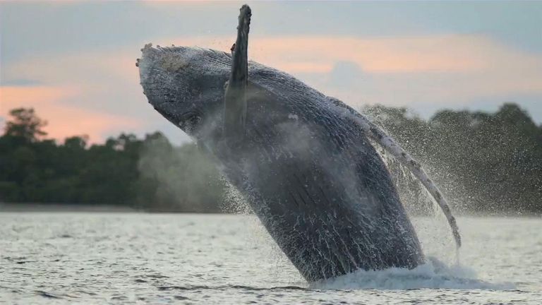 9 ظواهر عجز العلم عن تفسيرها.. أبرزها التثاؤب