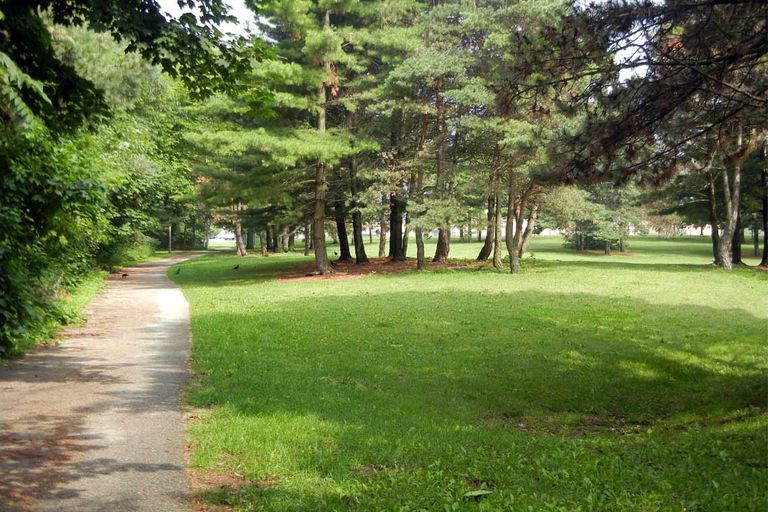 خطوات بسيطة لتحقيق السعادة