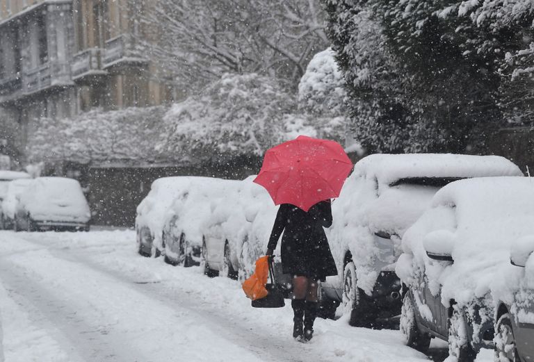 سوق السيارات المصري بين إلغاء الجمارك ودعوات المقاطعة