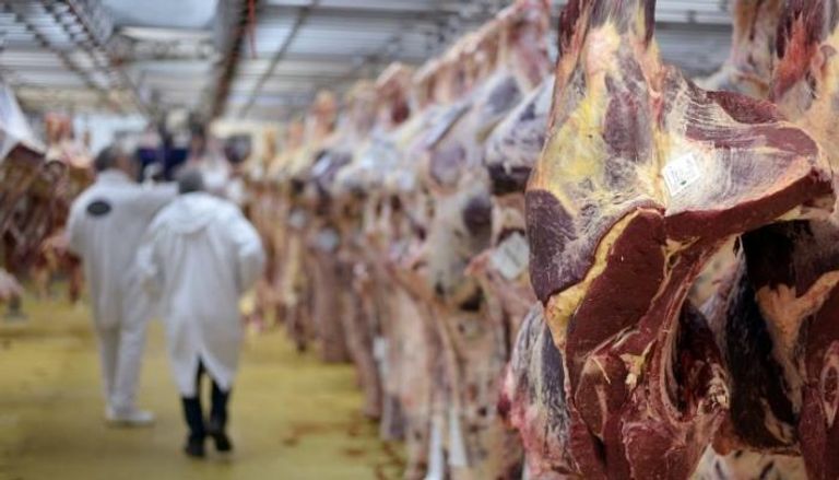 حملة أوروبية لإتلاف اللحوم البولندية المغشوشة