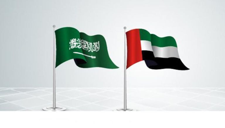 تعاون اقتصادي سعودي إماراتي