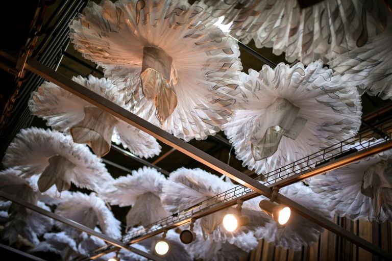 بالصور.. التوتو نجم أزياء الباليه الساطع