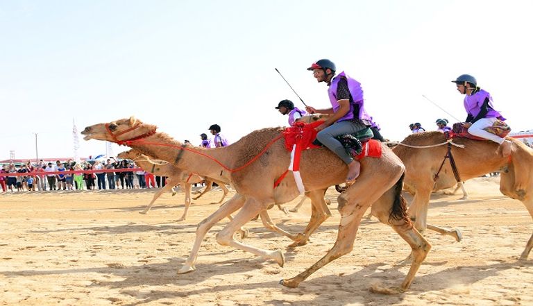 الشيخ سلطان بن زايد يشهد اليوم الختامي للمهرجان
