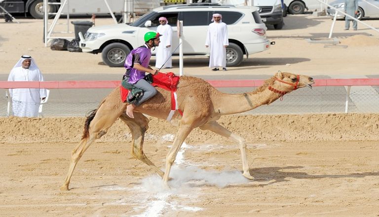 الشيخ سلطان بن زايد يشهد اليوم الختامي للمهرجان