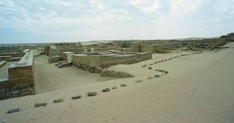 افتتاح معرض حفائر البعثة الفرنسية-الإيطالية بالمتحف المصري - أرشيفية