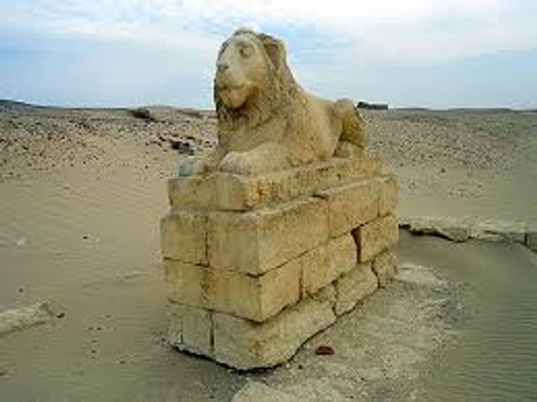 افتتاح معرض حفائر البعثة الفرنسية-الإيطالية بالمتحف المصري - أرشيفية