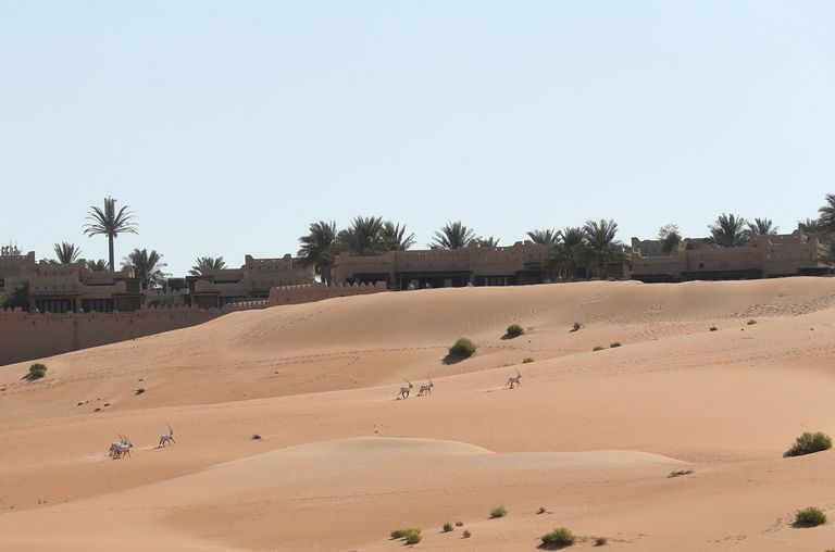 "الإمارات للطبيعة" تدعو لتبني ممارسات اجتماعية مستدامة