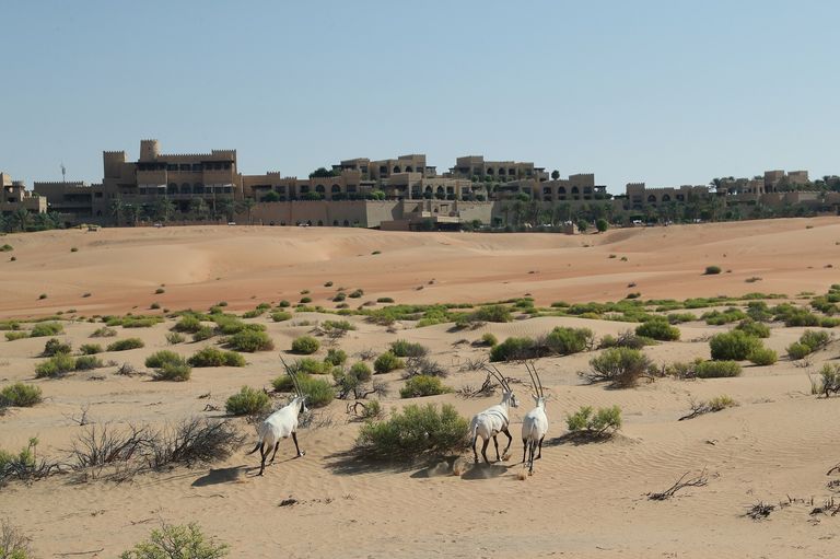 "الإمارات للطبيعة" تدعو لتبني ممارسات اجتماعية مستدامة