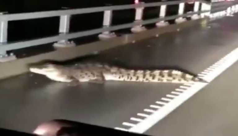 فيضانات تجتاح ولاية كوينزلاند الأسترالية