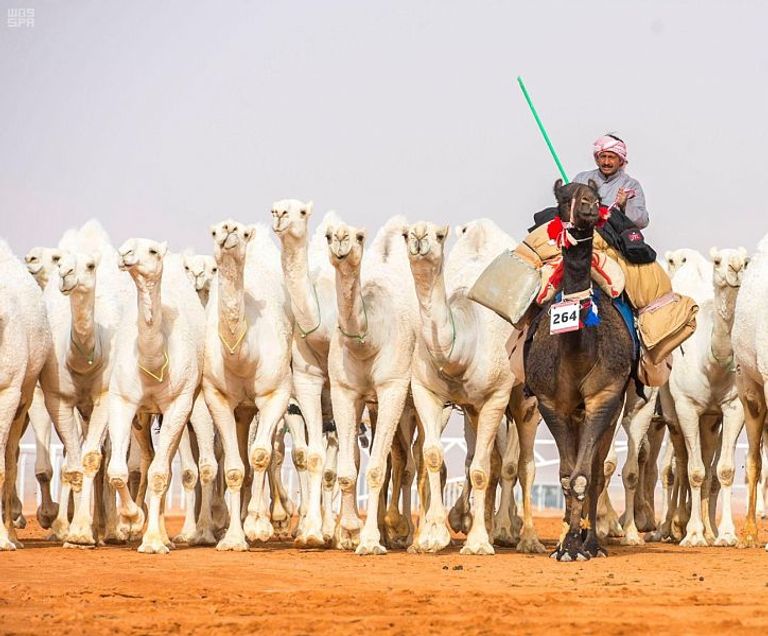 مهرجان الملك عبدالعزيز للإبل