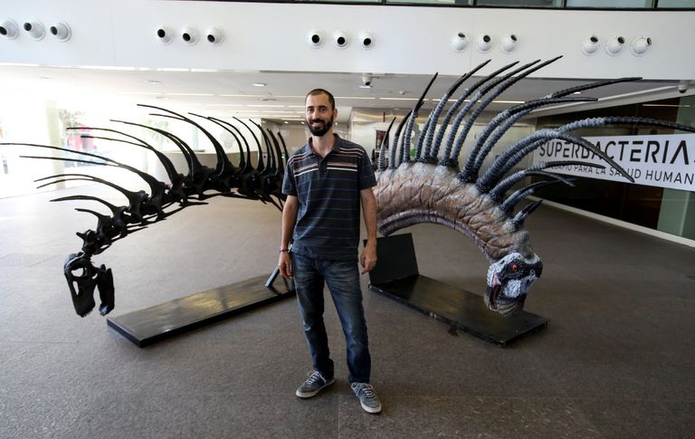 حفرية ديناصور برقبة ذات قرون مدببة