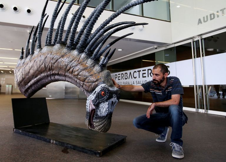 حفرية ديناصور برقبة ذات قرون مدببة