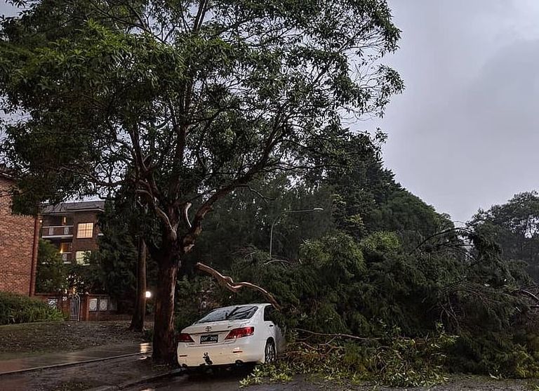 العواصف تشل الحياة في سيدني