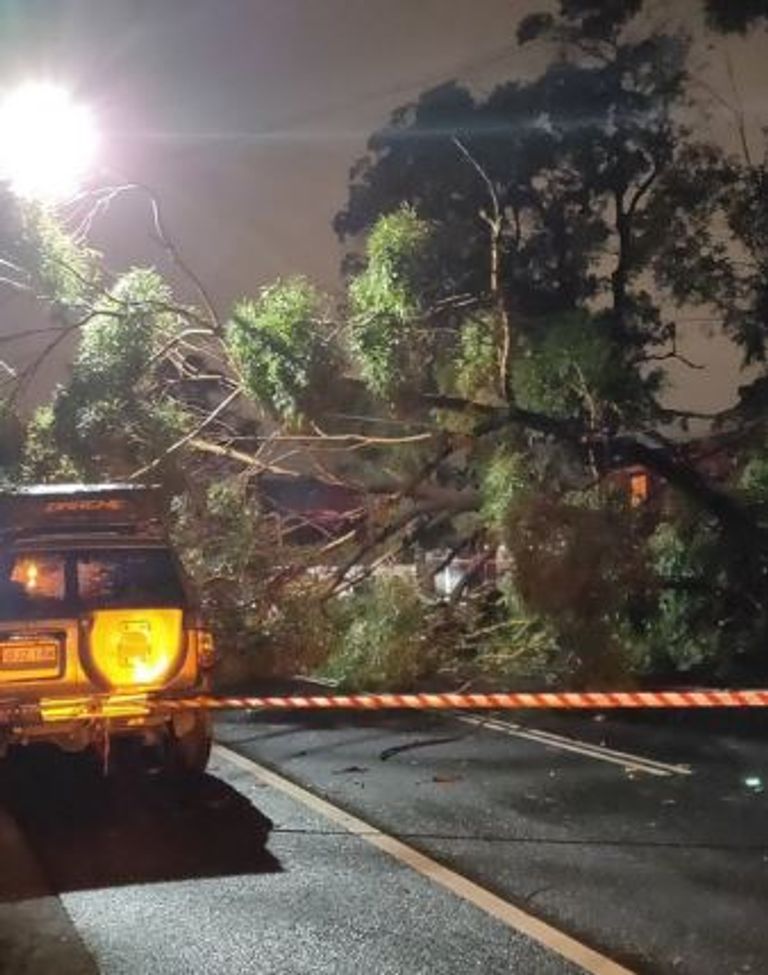 العواصف تشل الحياة في سيدني