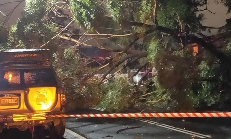 العواصف تشل الحياة في سيدني